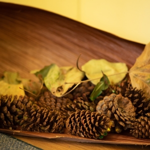 Basket of pine cones with yellow leaves for sensory and nature exploration at Innovative Early Learning